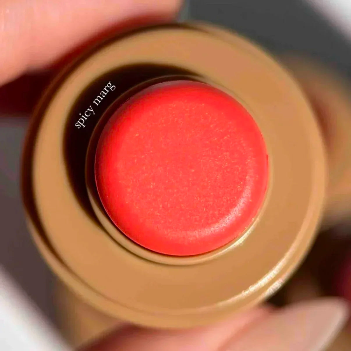 Rhod Blush Stick Cream New Hailey Lip and Cheek Pocket Rouge Piggy Authentic Girl Make Up Set