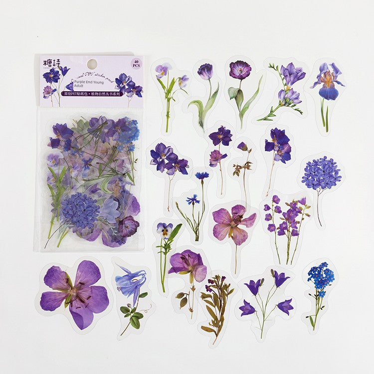 Cute Transparent Traceless Diary Pattern Cane Artsy