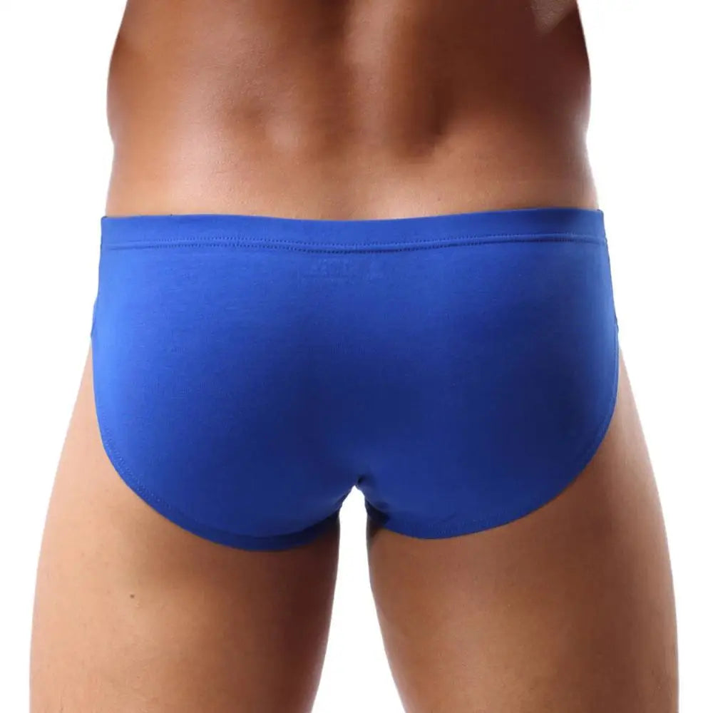 Sexy Men's Briefs Cotton Underwear U convex Pouch Design Man Underpants Sexy Low Waist Briefs for Men