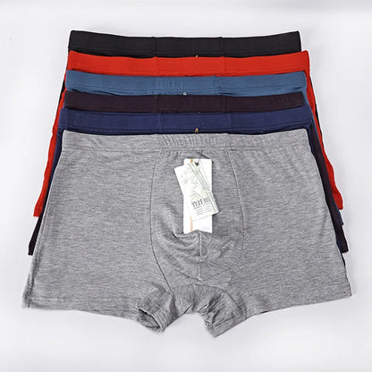 New Arrival  Men Boxer