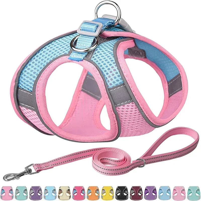 Dog Harness Vest Chest Cat Collars Rope Adjustable Breathable Mesh Dog Harness Clothes Outdoor Walking Small Medium Pet Supplies