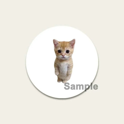32/44/58mm Funny Cute Cat Badge Round Creative Brooches Fashion DIY Backpack Jewelry Accessory Gifts HD Print Handmade Pins