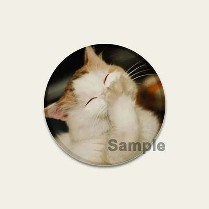 32/44/58mm Funny Cute Cat Badge Round Creative Brooches Fashion DIY Backpack Jewelry Accessory Gifts HD Print Handmade Pins
