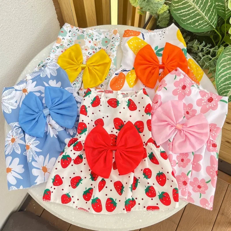 Cat Summer Dress Dog Lace Skirt Pet Clothing Chihuahua Stripe Skirt Puppy Cat Princess Apparel Cute Puppy Clothes Cat Lace Skirt