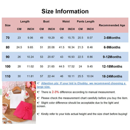 Toddler Baby Girl 2PCS Clothing Set Flower Short Sleeved Top with Pink Bow Shorts Fashion Cute Style Outfit for Infant 0-2 Years