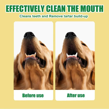 Pet Teeth Cleaning Spray Dog Cat Teeth Calculus Stain Remover Deodorant Kitten Bad Breath Treatment Pet Oral Care Tool