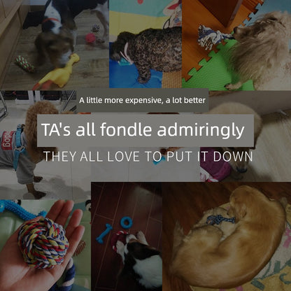 Large Cotton Knot Dog Toy Bite-Resistant Molar Rod Teddy Bichon Interactive Self-Heating Relieving Stuffy Pet Chews Supplies