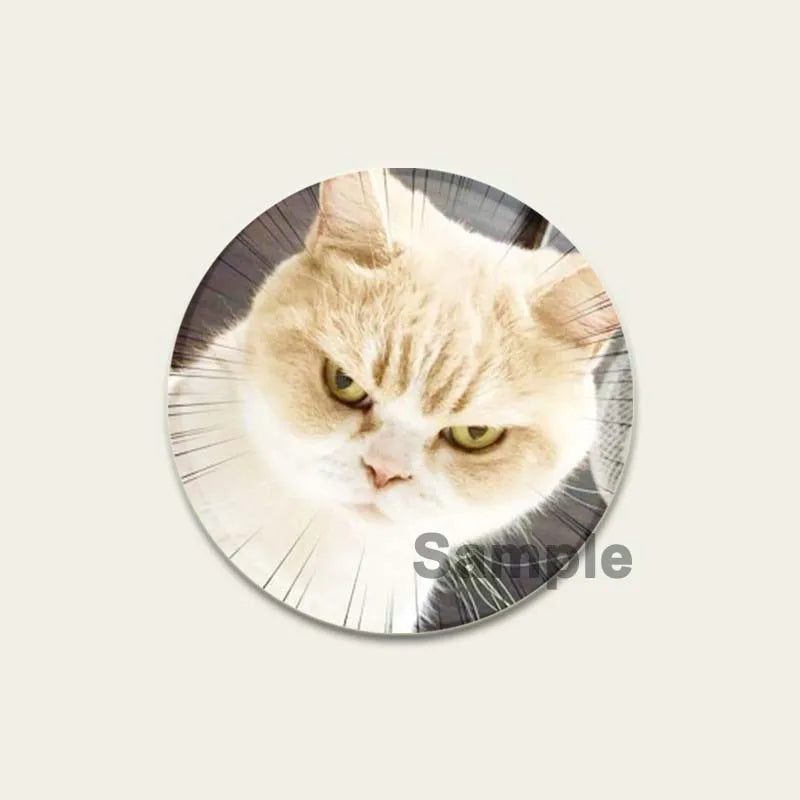 32/44/58mm Funny Cute Cat Badge Round Creative Brooches Fashion DIY Backpack Jewelry Accessory Gifts HD Print Handmade Pins