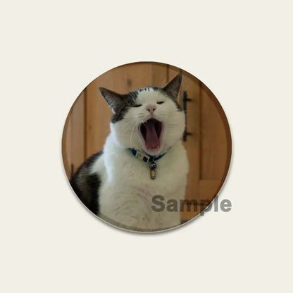 32/44/58mm Funny Cute Cat Badge Round Creative Brooches Fashion DIY Backpack Jewelry Accessory Gifts HD Print Handmade Pins