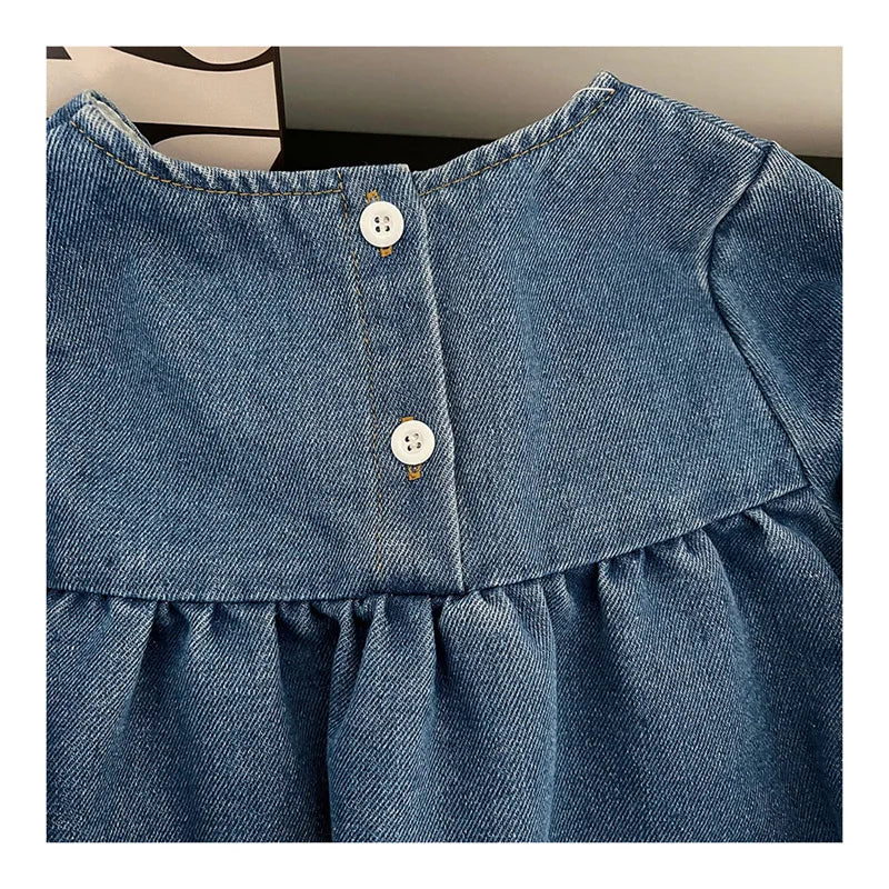 Kids Clothing  Spring And Autumnr Round Neck Floral Embroidered Long Sleeve Denim dress Girls Dress Princess Dress