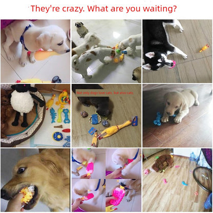 Large Cotton Knot Dog Toy Bite-Resistant Molar Rod Teddy Bichon Interactive Self-Heating Relieving Stuffy Pet Chews Supplies