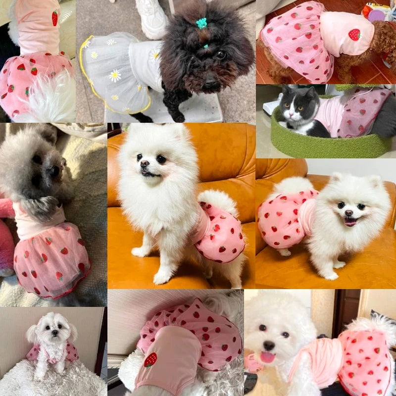 Summer Strawberry Dress for Dog Pet Clothing Dog Suspender Skirt Dog Clothes Cats Puppy Print Cute Dog Mesh Dress Pet Supplies