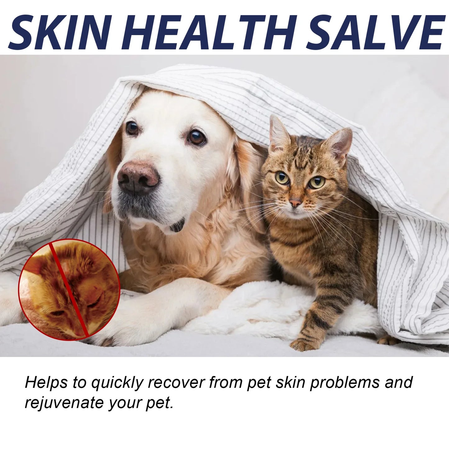 Pet Skin Repair Cream Ringworm Treatment Repair Dry Skin Disease Relief Itching Healing Moisturizer Wound Care Dog Skin Ointment