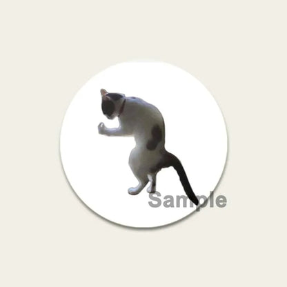 32/44/58mm Funny Cute Cat Badge Round Creative Brooches Fashion DIY Backpack Jewelry Accessory Gifts HD Print Handmade Pins